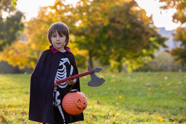 Two child, boy in the park with Halloween costumes - Photo, image