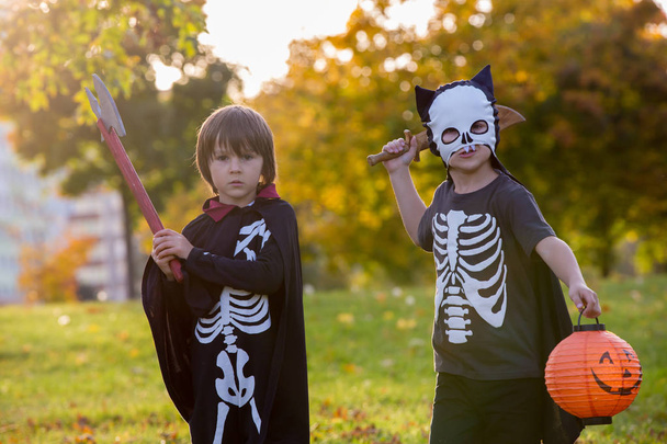 Two children, boy brothers in the park with Halloween costumes - Foto, afbeelding