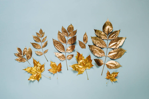 color Leaves background - Фото, изображение