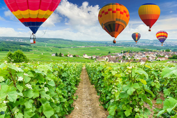 Красочные воздушные шары над шампанским Виноградники в Монтань-де-Реймс, Франция
 - Фото, изображение