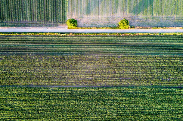 Vista dall'alto delle parcelle agricole
 - Foto, immagini