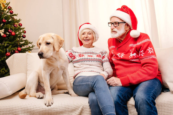 senior couple with dog at christmas - Photo, Image