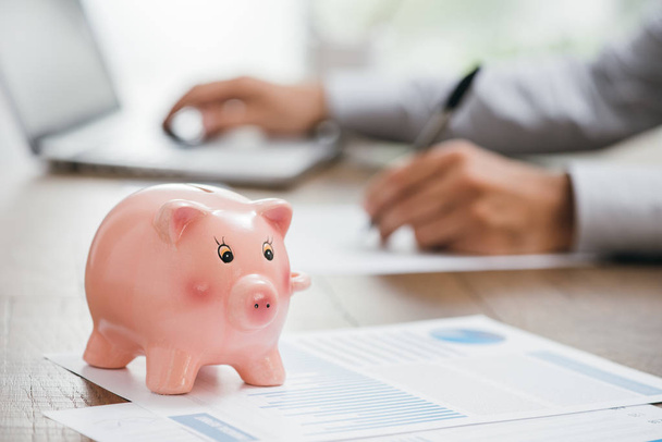 Financial consultant and piggy bank  - 写真・画像
