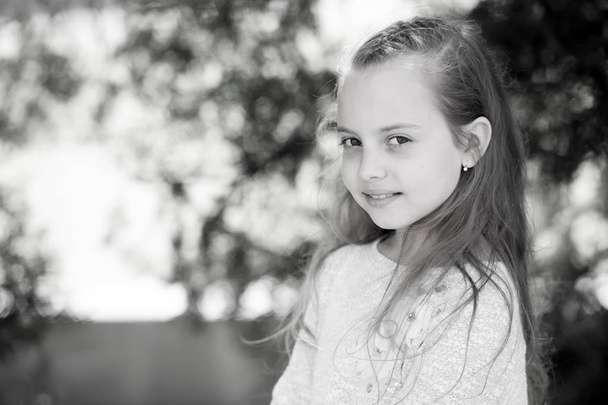 Portrait of a lovely little happy princess girl - Foto, Imagen
