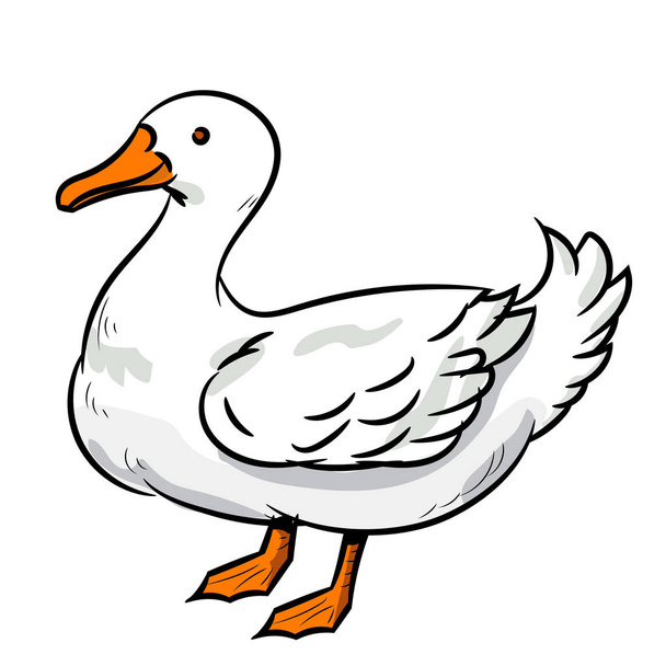 Illustration of Duck -Vector Illustration - Vektor, Bild
