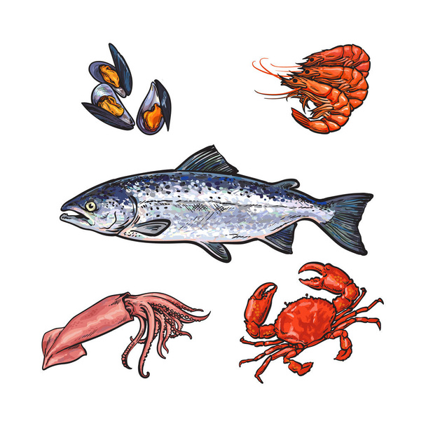 vector sketch seafood objects set isolated - Διάνυσμα, εικόνα