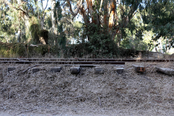 railway in Israel  - Photo, Image