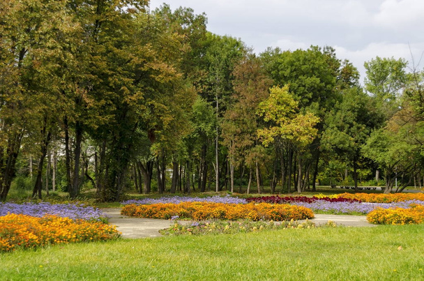 Popular parque del norte para el descanso con bosque viejo otoñal, banco de madera y jardín de flores en el distrito de Vrabnitsa
 - Foto, Imagen