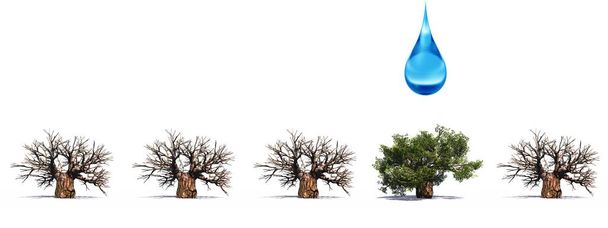 Árvores 3D sem folhas
 - Foto, Imagem