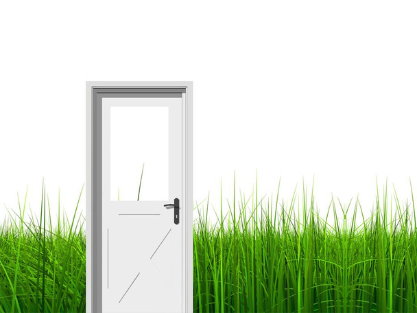 3d conceptual grass with opened door  - Photo, Image