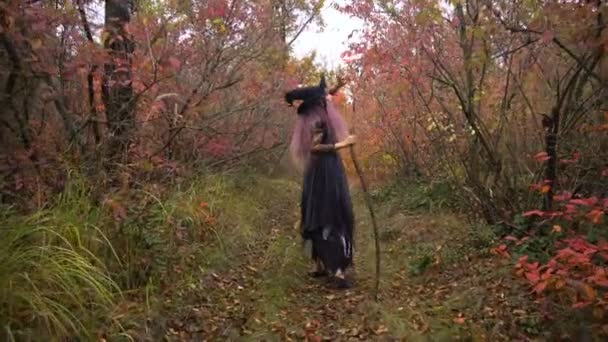 Fiatal rózsaszín haj boszorkány keresés reagensek a misztikus őszi erdőben. Halloween előkészítése. - Felvétel, videó