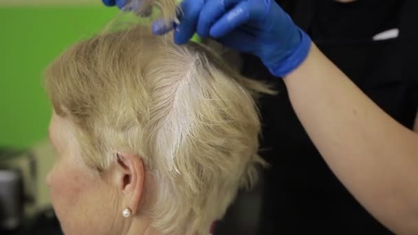 Folyamat a szépségszalonban haj festése - Felvétel, videó