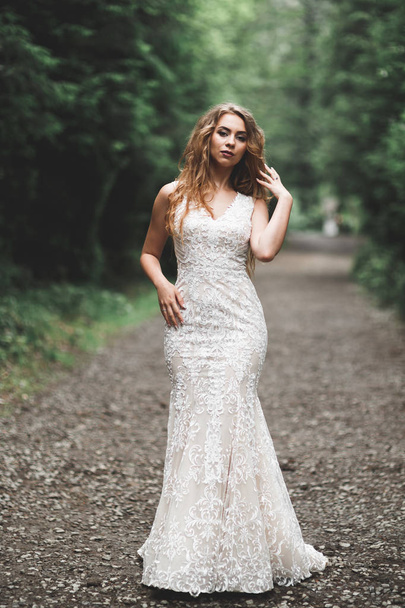 Beautiful luxury bride in elegant white dress - Zdjęcie, obraz