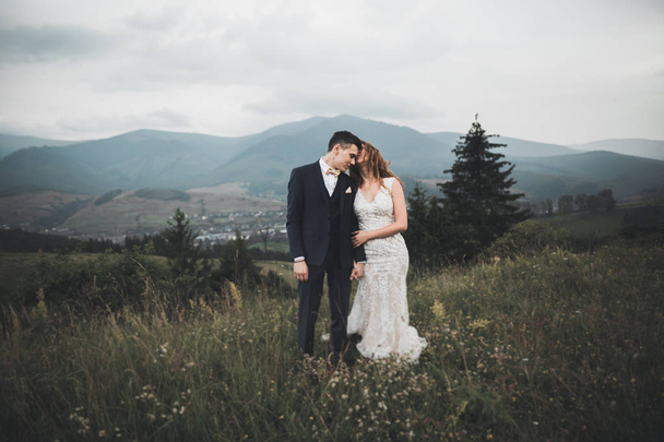 Beautifull wedding couple kissing and embracing near mountain with perfect view - Фото, изображение