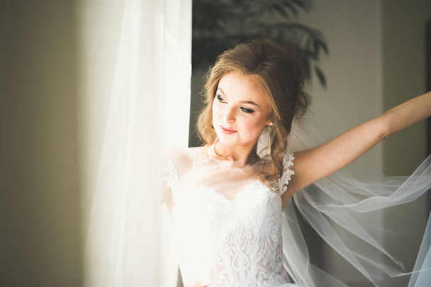 Beautiful bride wearing fashion wedding dress with feathers with luxury delight make-up and hairstyle, studio indoor photo shoot - Photo, image