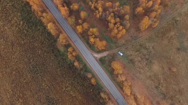 Η θέα από τον αέρα. Χρυσή φθινόπωρο, που πετούν πάνω από την επαρχιακή οδό - Πλάνα, βίντεο