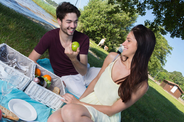portrait of young couple during romantic picnic in countryside - Foto, imagen