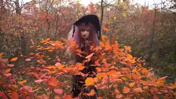 Fiatal rózsaszín haj boszorkány a misztikus őszi erdőben. Halloween előkészítése. - Felvétel, videó