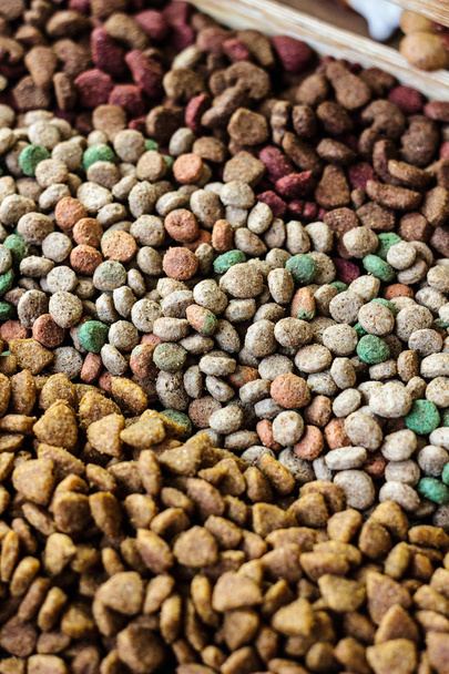 Dry pet food background - Photo, image