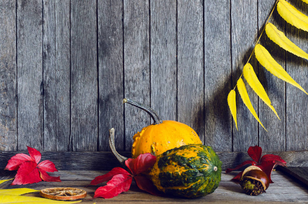 秋の自然の概念。秋カボチャとドライ オレンジ、素朴な木製のテーブルの上の栗。感謝祭のディナー - 写真・画像