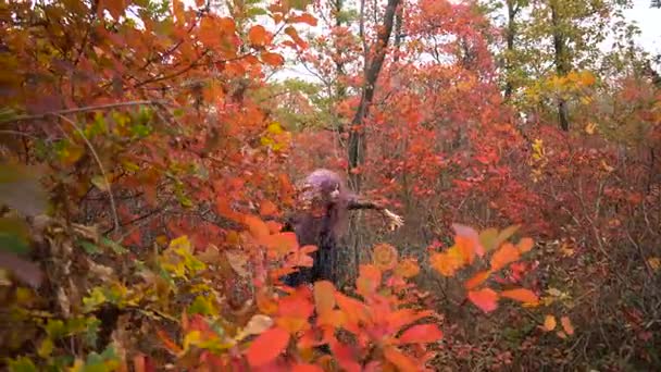 Young pink hair witch search reagents in the mystical autumn forest. Halloween preparation. - Footage, Video