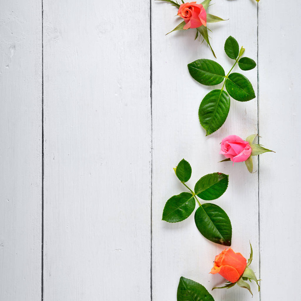 Roses on white wooden background. - Fotografie, Obrázek