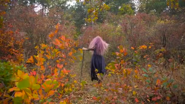 カップルはピンク髪の魔女帽子検索試薬神秘的な秋の森。ハロウィーンが来ています。. - 映像、動画