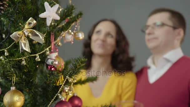 Loving couple admiring merry twinkling of festive lights standing in embrace - Imágenes, Vídeo