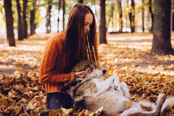 a young red-haired girl is walking with her big gray dog in the park, in a pile of autumnal fallen leaves - Foto, Imagem