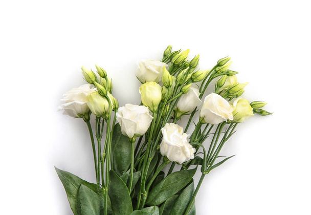 Beautiful flowers on white  - Zdjęcie, obraz