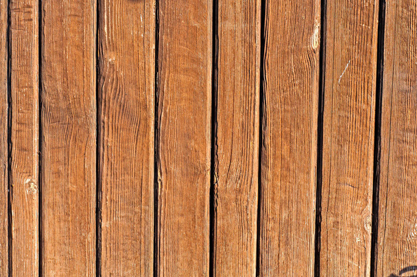 Dry Wooden Texture - Photo, Image
