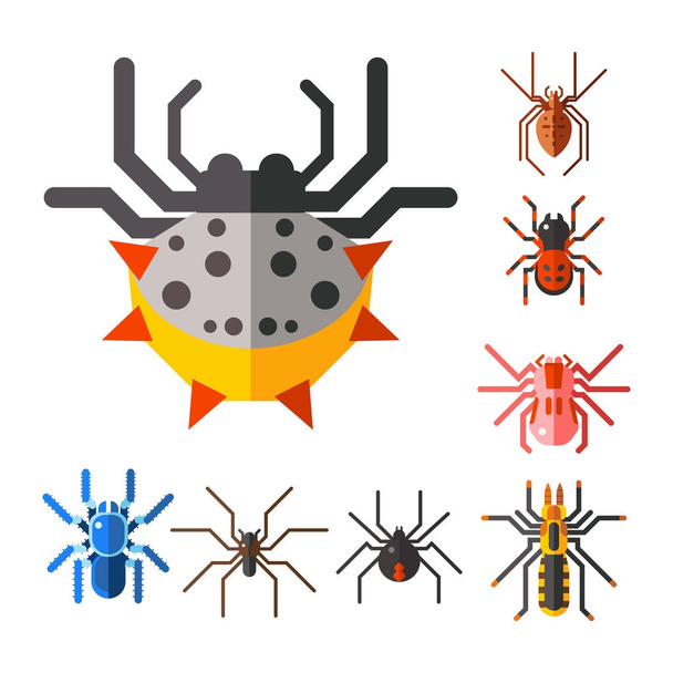 Spinnennetz Silhouette Spinnentiere Angst Grafik flach beängstigend Tier Design Natur Insekten Gefahr Horror Halloween Vektor Symbol. - Vektor, Bild