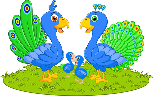 Happy peacock family cartoon - Vector, Image