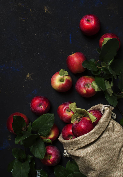 Red apples in canvas bag - Φωτογραφία, εικόνα