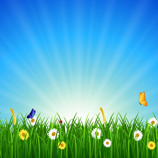 Natur Hintergrund mit grünem Gras, blauem Himmel und heller Sonne - Vektor, Bild