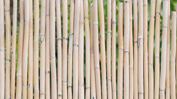 Hintergrund eines Bambuszauns - Foto, Bild