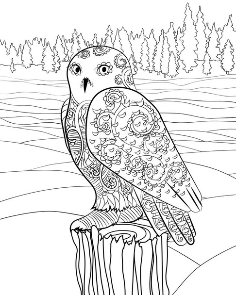 Snowy owl in the zentangle style. - Vector, Image