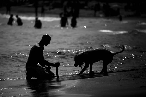 человек и собака играют на пляже, черно-белый вирусный образ дружбы человека и животных
 - Фото, изображение