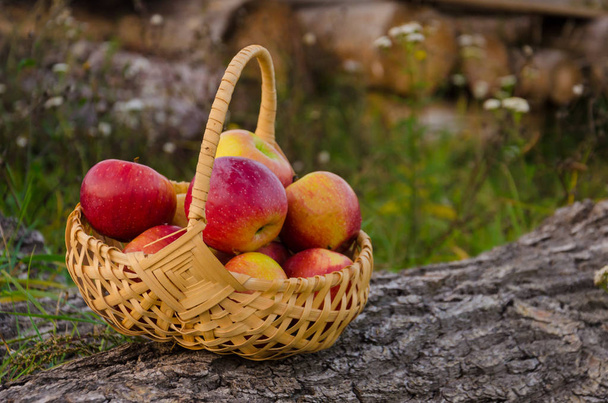 canasta de mimbre con manzanas de color rojo brillante se encuentra en una cubierta de madera en
  - Foto, Imagen