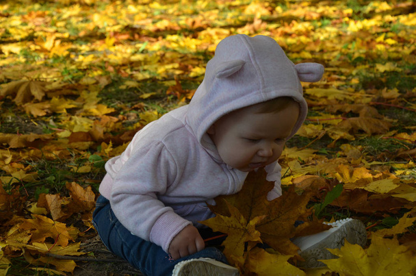 adorable szczęśliwy dziewczyna rzucając spadające liście w górę, gra w jesiennym parku - Zdjęcie, obraz