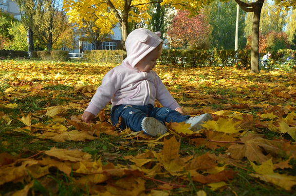 imádnivaló boldog lány dobja fel a lehullott leveleket, játszik az őszi parkban - Fotó, kép
