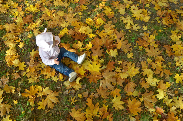 αξιολάτρευτο χαρούμενο κορίτσι ρίχνει τα πεσμένα φύλλα ψηλά, παίζοντας στο πάρκο φθινόπωρο - Φωτογραφία, εικόνα