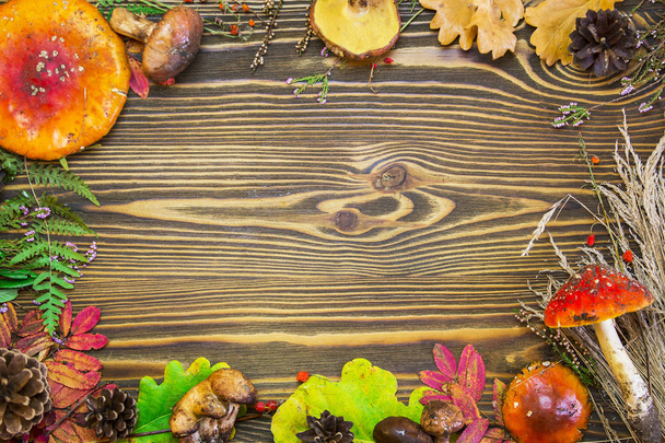 Beautiful frame of natural materials, mushrooms, cones, autumn leaves, fly agarics, berries. Autumn brown wooden background. - Fotó, kép