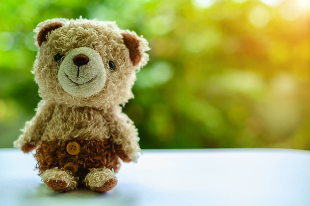Brown bear doll sitting on blurred green natural background - Photo, Image