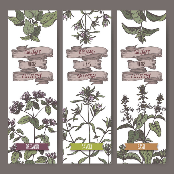 Set of three color vector banners with oregano, savory, basil sketch. - Vector, Image