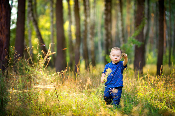 cheerful kid walks in a beautiful evening par - Foto, Bild