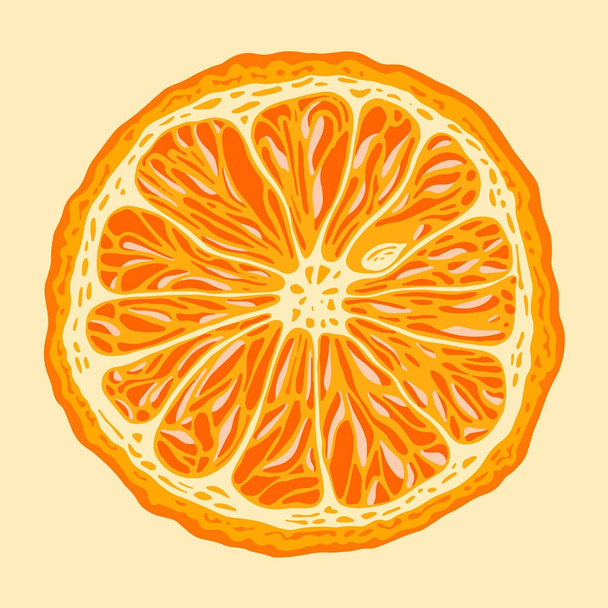 The orange is cut with a bone. Hand drawn. Vector illustration. - ベクター画像