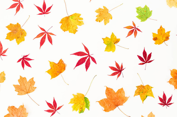 Floral pattern of  leaves  - Foto, Imagen