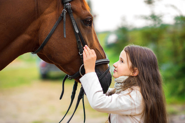 牧場で女の子抱擁彼女の馬 - 写真・画像
