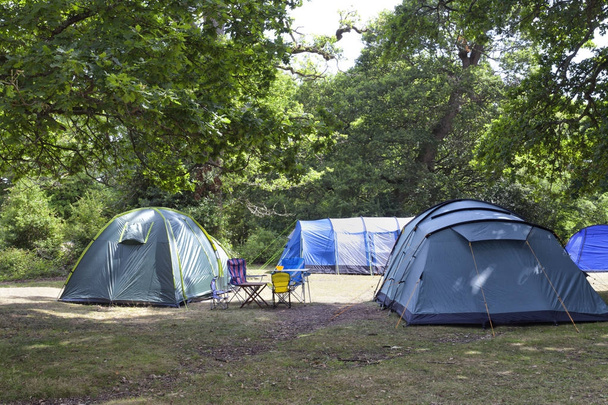 Tendas familiares sob árvores em um acampamento de floresta
 - Foto, Imagem